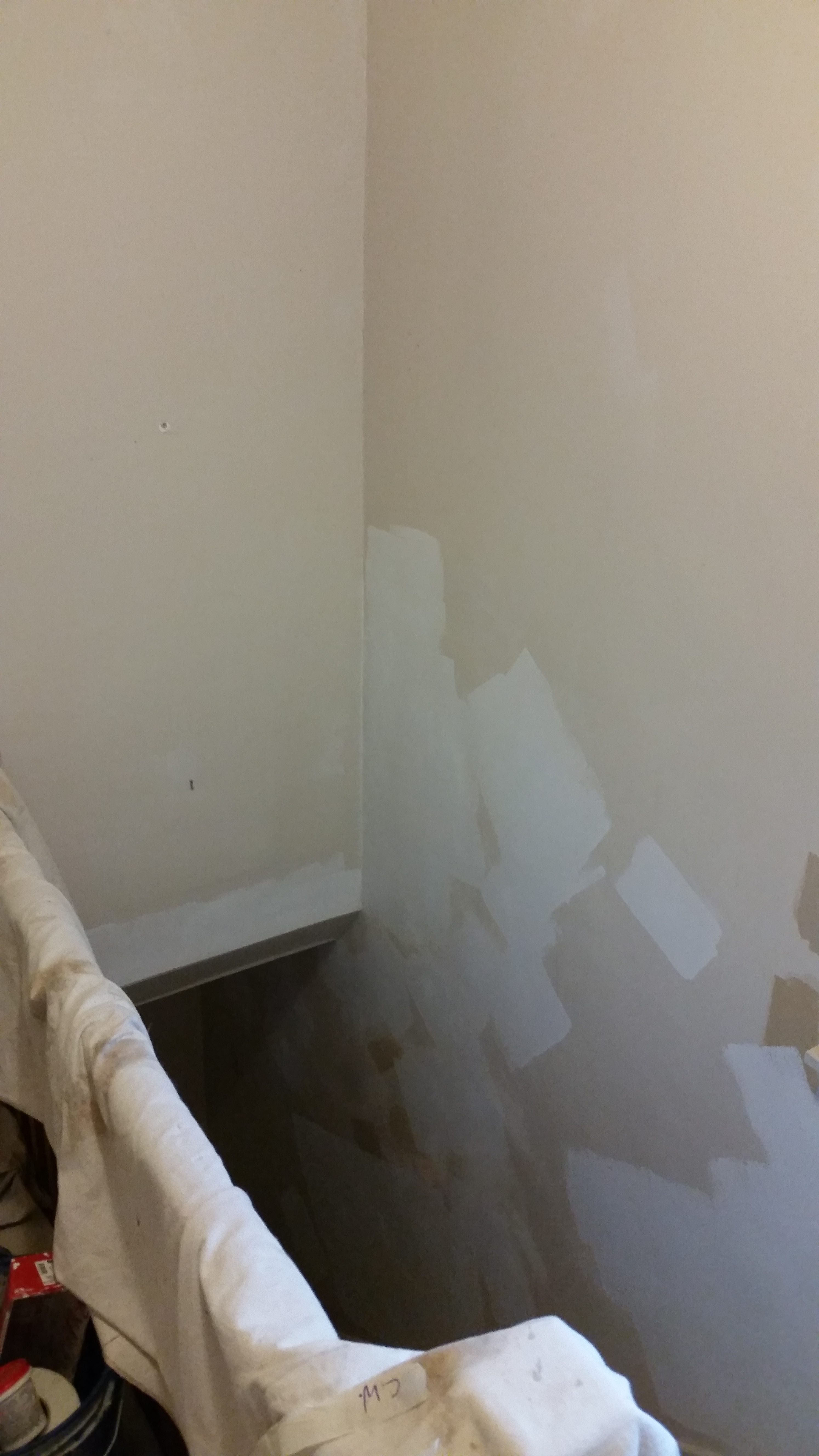 Ceiling, Wall and Trim Repaint Mike Kalman Painting