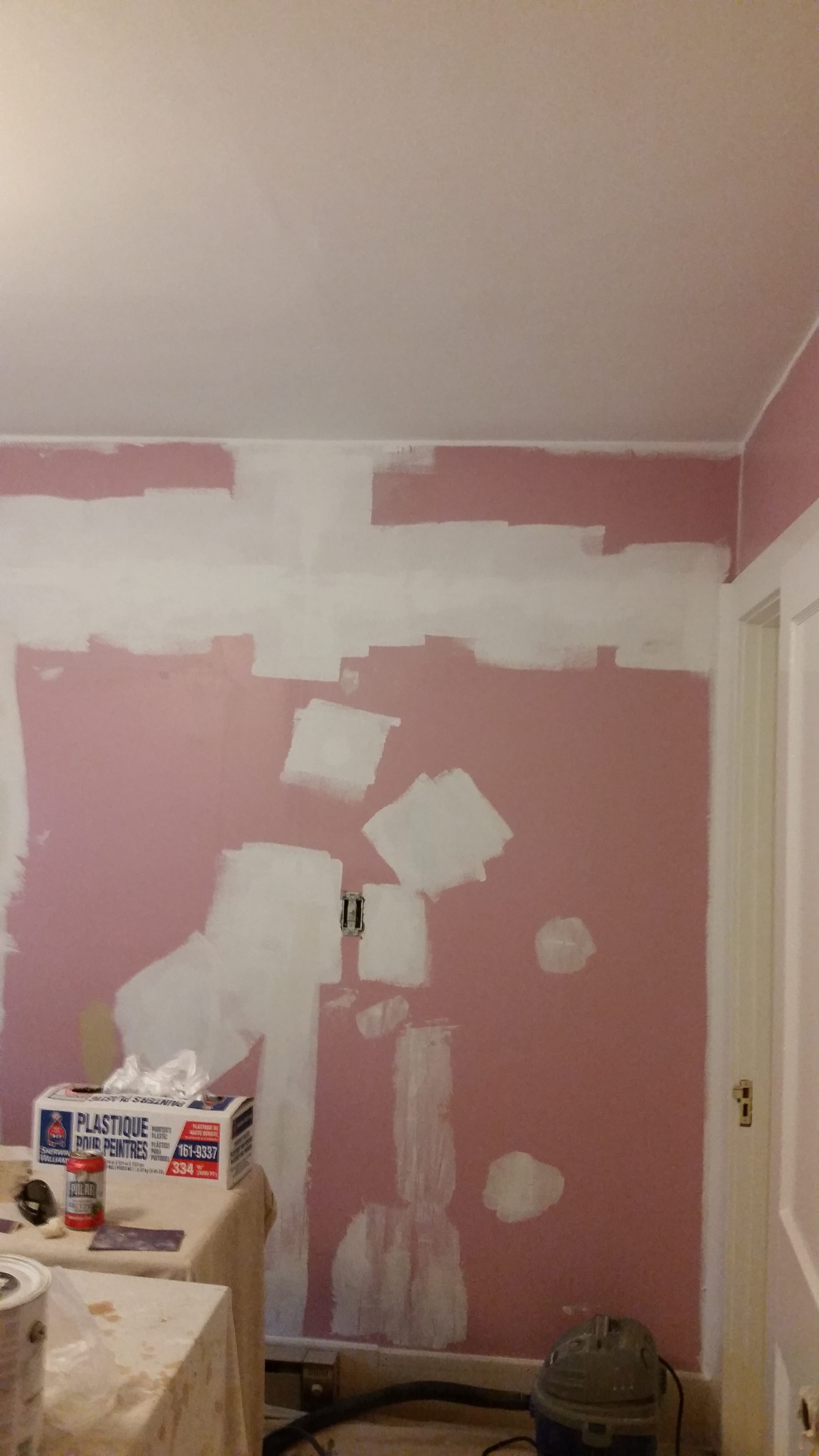 Ceiling, Wall and Trim Repaint Mike Kalman Painting